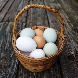 eggs in a basket